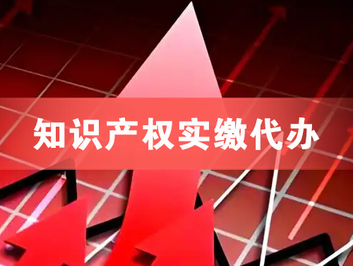 怀化知识产权实缴资本代办
